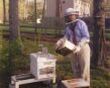 Working Hive