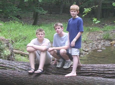 The brothers on a tree