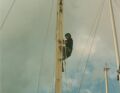 Michael Halfway up Varde's Mast